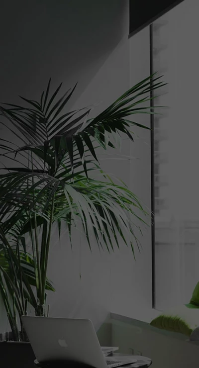 历史发展